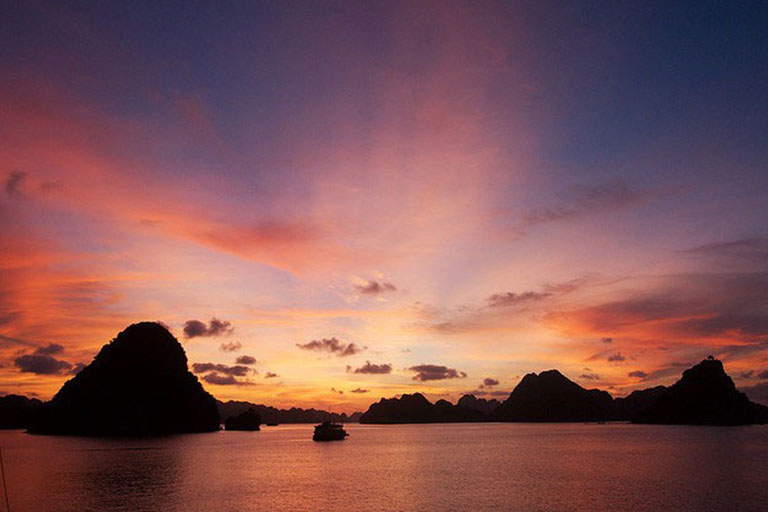 Stellar of the Seas Cruise Halong: An Exclusive Cabin Room Tour & Review