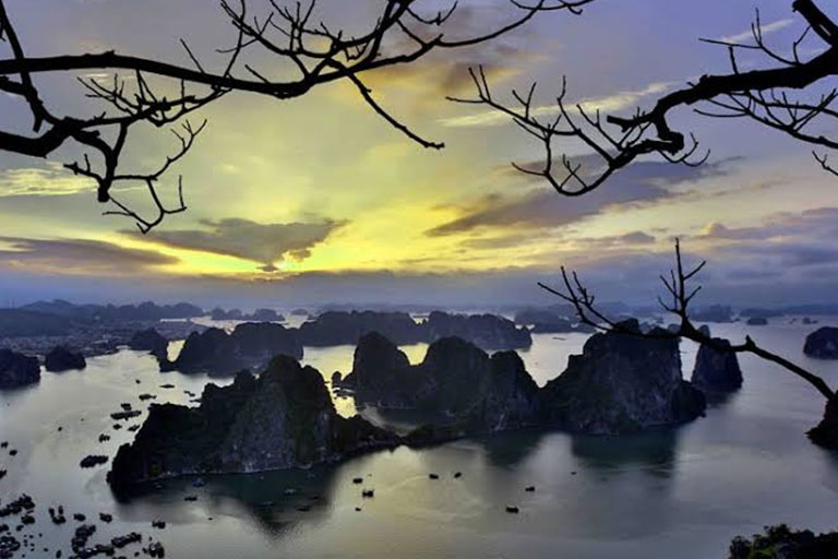 Sunrise vs Sunset Cruises: Which Experience Is Better? | Stellar of the Sea Cruise Halong